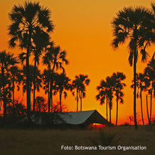 Sonnenuntergang auf Safari in Botswana