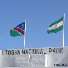 Namibia-Fahne im Etosha National Park