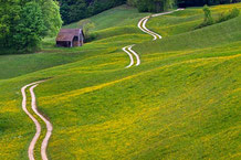 Gewundener Feldweg über eine Wiesenlandschaft