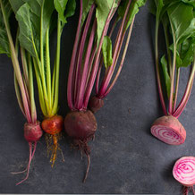Sortenvielfalt Rote Beete
