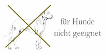 Berlin im Kalten Krieg - für Hunde geeignet. Kulturgut Berlin Stadtführungen