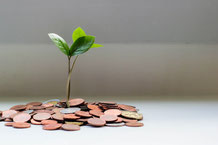 The earth grows when we offer things more valuable than money. Photo by micheile dot com on Unsplash. https://unsplash.com/photos/lZ_4nPFKcV8 