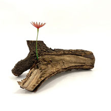 Thiaki Tada「Flower of resurrection」h27xw13xd7cm,Wild cherry tree