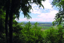 rundwanderung bucheggberg oder buechibarger rundwanderig restaurant schlossbucheggs webseite