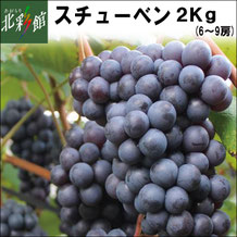 青森スチューベン