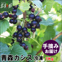 青森カシス