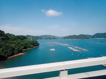 頭島の海上に浮かぶ牡蠣の「養殖いかだ」