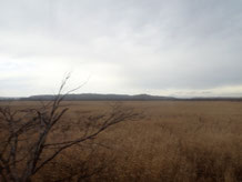 茫漠とした釧路湿原