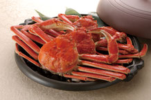 ズワイガニ（新潟、鶴岡）