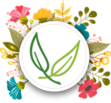 Kibü; Würze; Natur; Kosmetik; Propos; Nature; Frankreich; Creme; Zahnpasta; Shea; Butter; Deo;