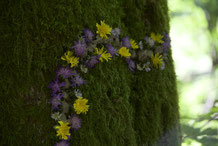 Blumen am Baum