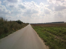 Der "Natur auf der Spur"? Nur ein schlechter nö. Landeswitz: Radtour in Hohenau, Weinviertel. (Foto: F. Butschbacher)