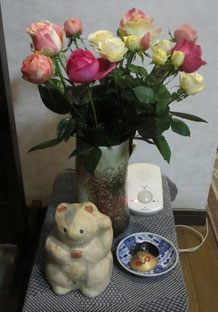 *お歳暮の薔薇の花&玄関飾りの張子まねき猫