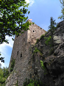 Ruine Haichenbach - Schlögener Schlinge