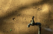 Als Grössenvergleich der Spurbreite dient der Wasserhahn in meinem Garten