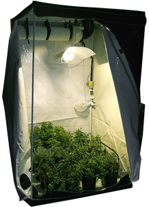 Growbox / Homebox für den Cannabis Hanfanbau Indoor
