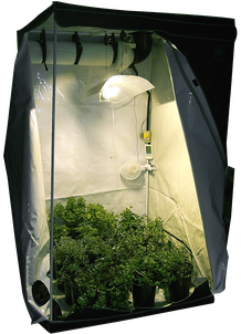 Allgemeines Zum Indoor Hanfanbau Cannabis Anbau Irierebel