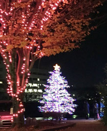 可児のエステ「心美」のブログ、クリスマス