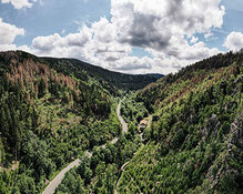 Blick auf Straße im Schwarzwald Campingplätze 2026