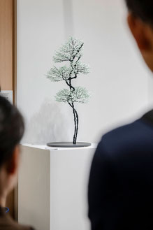 ONOGAWA NAOKI