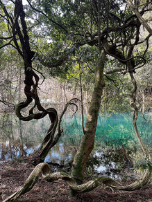 写真提供: 遊佐鳥海観光協会