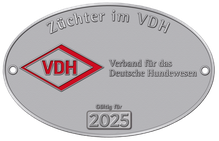 Züchterplakette VDH 2025