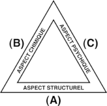 Triade de la santé : Aspect Chimique, Psychique, Structurel