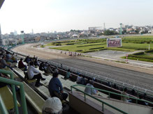 浦和競馬場レースコース概要