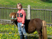 Minipony auf der Vierbruckmühle