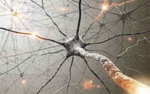 100 milliards de neurones