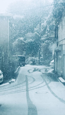 まだ降り始めです。