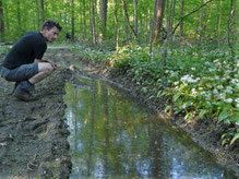 Paul am Gelbbauchunken Habitat bei Rastatt