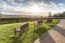 Sunny outlook from the Fentham Hall