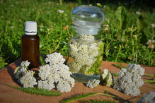 Phytohormone, Wechseljahre, Kinderwunsch, PMS