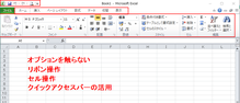 Excel 2010 の画面(クリックで拡大)