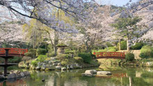 満正寺