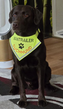 HUndeahlstuch für einen Mantrailerhund in neongleb. Bestickt mit dem Text Mantrailer Suchhund und einer Pfote. Hergestellt by textilfashion.de