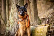 Akira beim Modeln :)