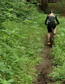 Haibike eq pedelec test im Wald