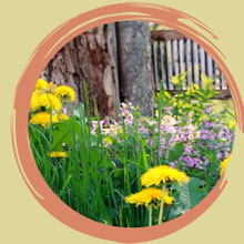 Körperintelligenz - finde hier die Antworten. 