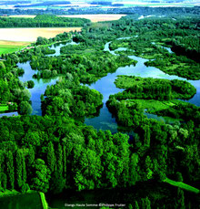 Somme Groupes - Voyages en groupes - Somme - Groupes - Séjour - Hauts de France - Amiens - Hortillonnages - Cathédrale Notre Dame - Picardie - Nature - Découverte - Patrimoine 