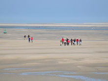 Somme Groupes - Séjour - Journée - Agence - Réceptif - Groupes - Somme - Balade guidée - Fort-mahon - Quend - Plage - Baie d'Authie - Blockhaus - Mytiliculture - Bassieu - Côte Picarde