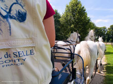 Somme Groupes - Voyages en groupes - Agence de voyages - Réceptif - Somme - Groupes - Séjour - Hauts de France - Amiens - Hortillonnages - Cathédrale - Conty - Centre équestre - Chevaux - Dégustation - Escargotière