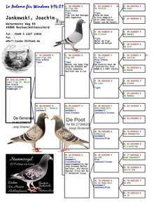 Stammvogel DV 2099