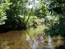 Atmospheric deposition, stream water chemistry and hydrological process in forest