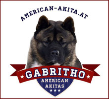 american-akita-degabrithos Webseite!
