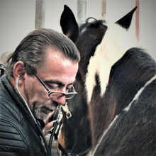 Tierheilpraktiker Harz  mobile Tierheilpraxis  Tierphysiotherapie Harz  Verhaltenstherapie Hund Harz  Tierthermografie Harz  Hufbearbeitung Harz