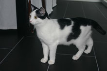 Mit Tieren Sprechen - Foto Klient BamBam