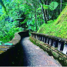 Spring Path at Como Shambala.