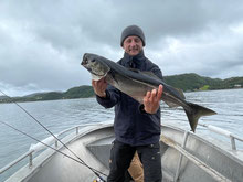 Lachse angeln in Norwegen, mittlerer Fluss, mit Blinker